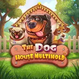 The Dog House Multihold game at Malina Casino for Australian players